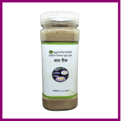Jam Seeds 100gm / জাম বীজ ১০০ গ্রাম