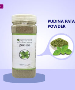 Pudina Powder